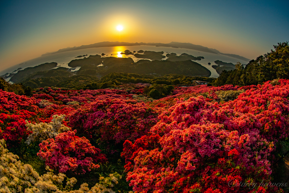 f:id:Starryheavens:20190421100133j:plain f:id:Starryheavens:20190421100133j:plain