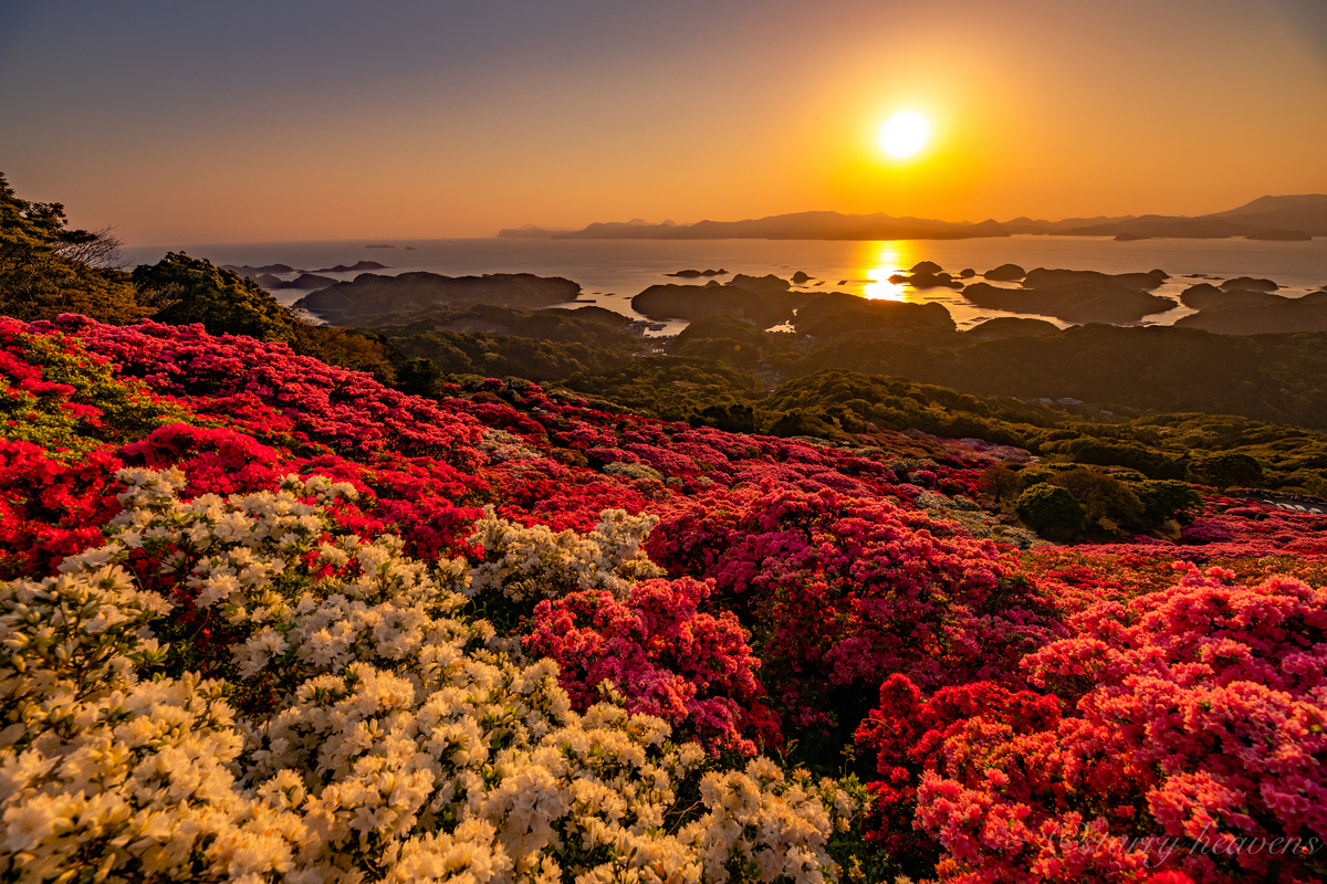 f:id:Starryheavens:20190421100143j:plain f:id:Starryheavens:20190421100143j:plain