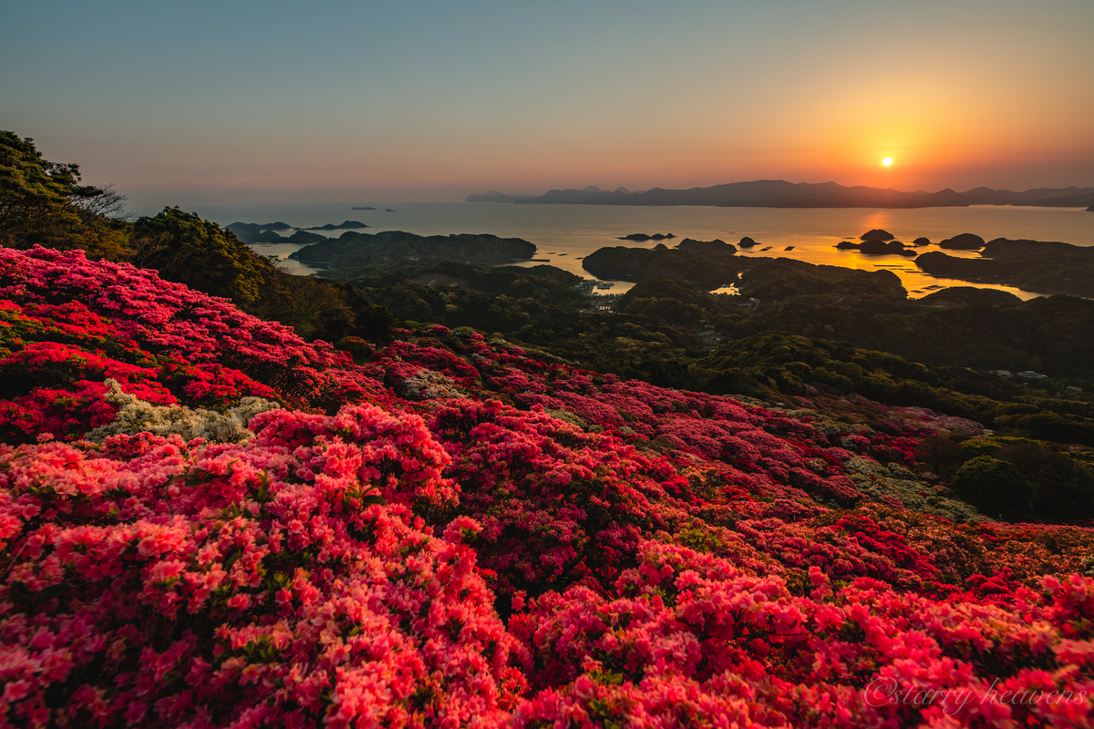 f:id:Starryheavens:20190421100220j:plain f:id:Starryheavens:20190421100220j:plain