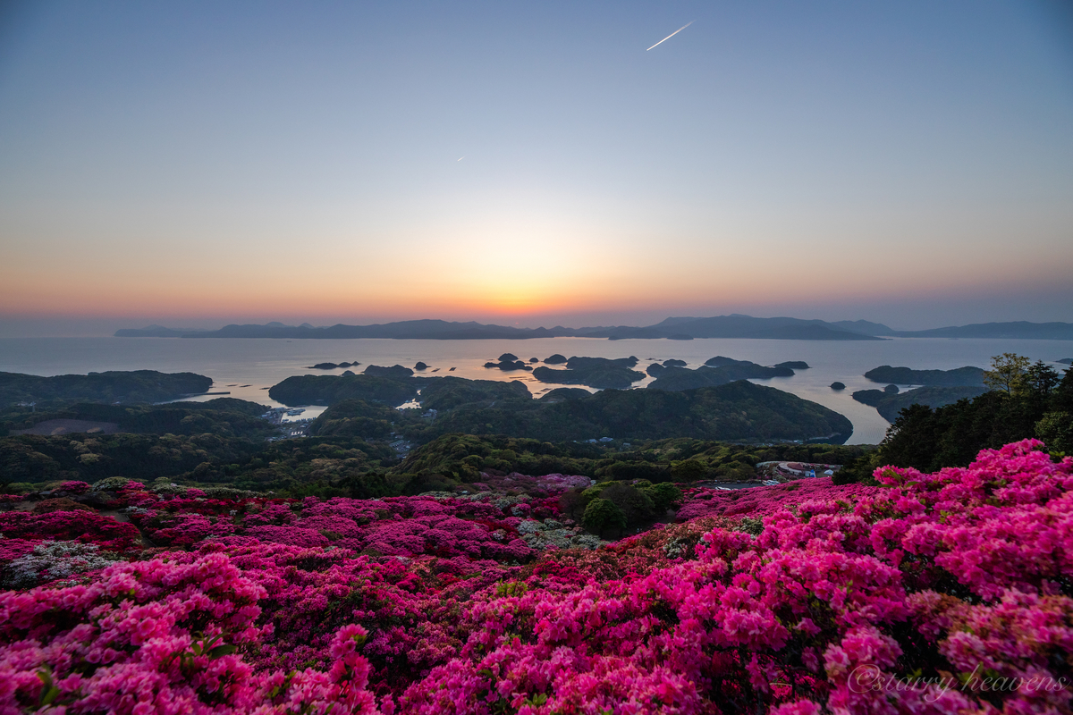 f:id:Starryheavens:20190421100229j:plain f:id:Starryheavens:20190421100229j:plain