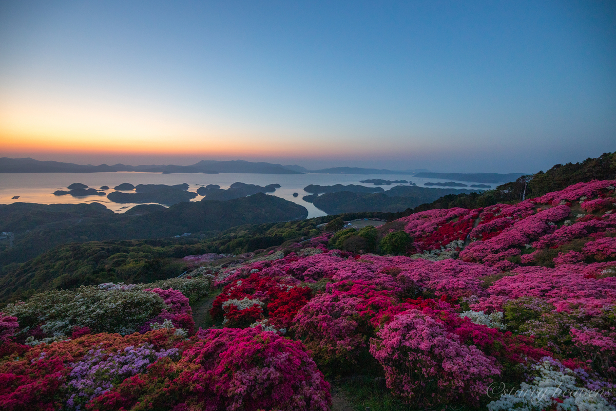 f:id:Starryheavens:20190421100249j:plain f:id:Starryheavens:20190421100249j:plain