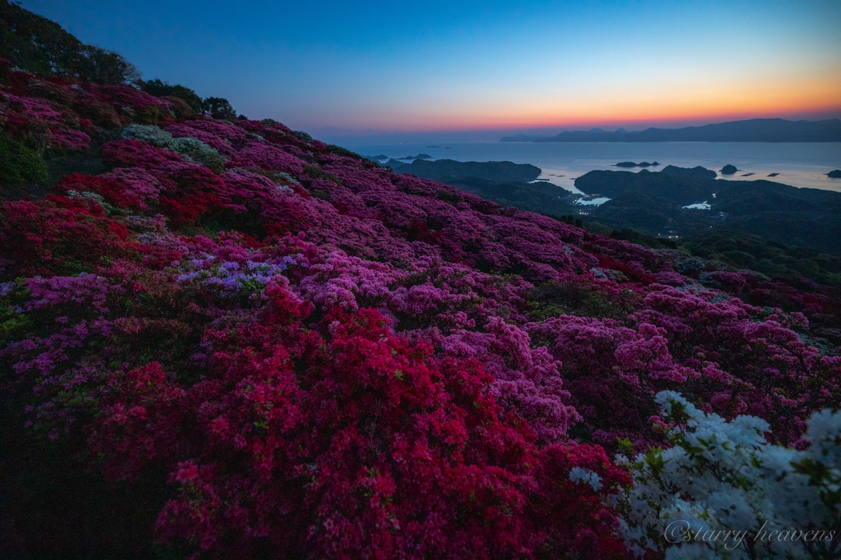 f:id:Starryheavens:20190421100258j:plain f:id:Starryheavens:20190421100258j:plain