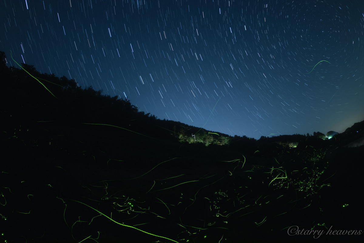 f:id:Starryheavens:20190601121144j:plain