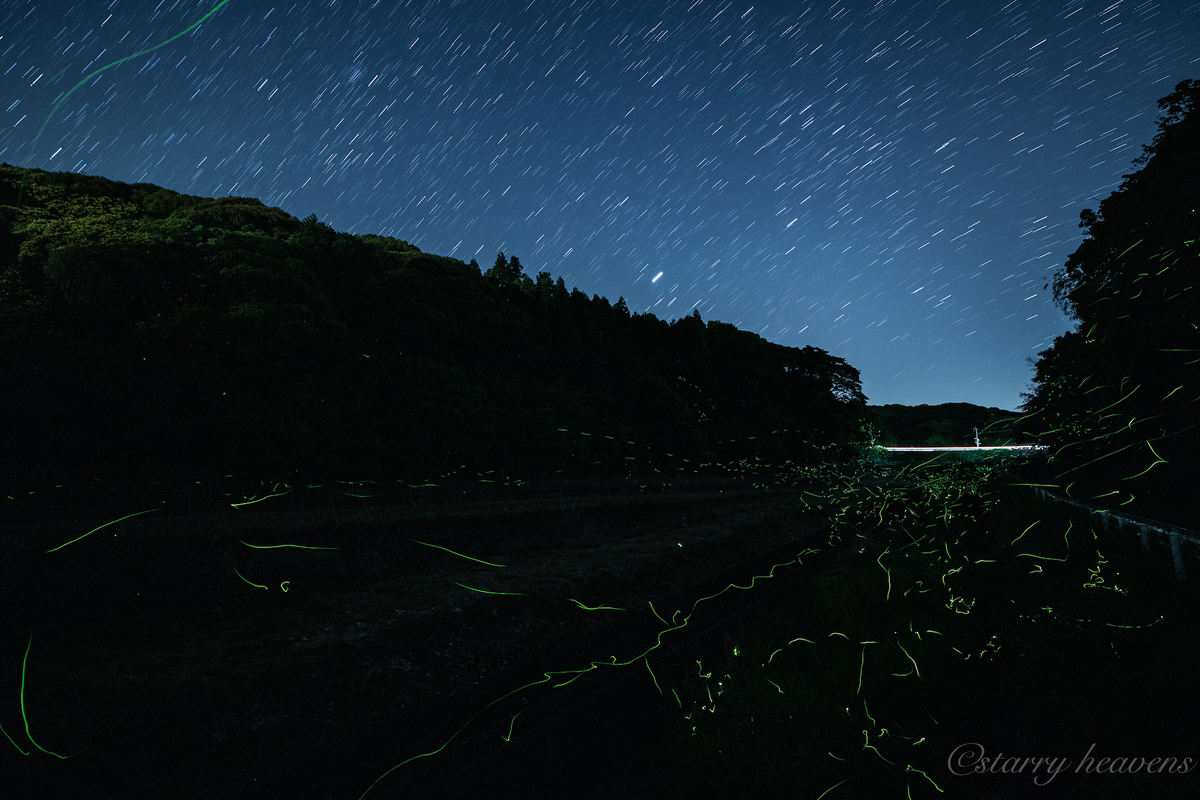 f:id:Starryheavens:20190601121149j:plain