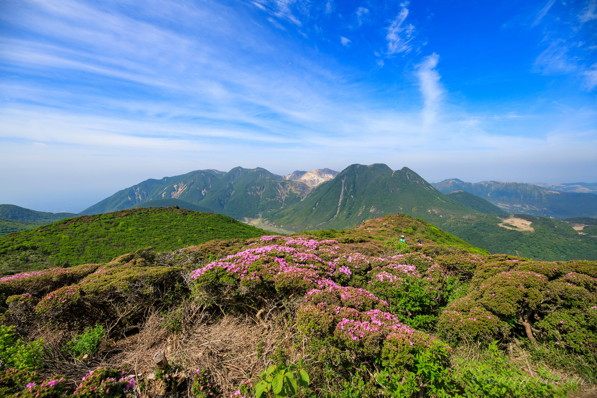 f:id:Starryheavens:20190606061734j:plain