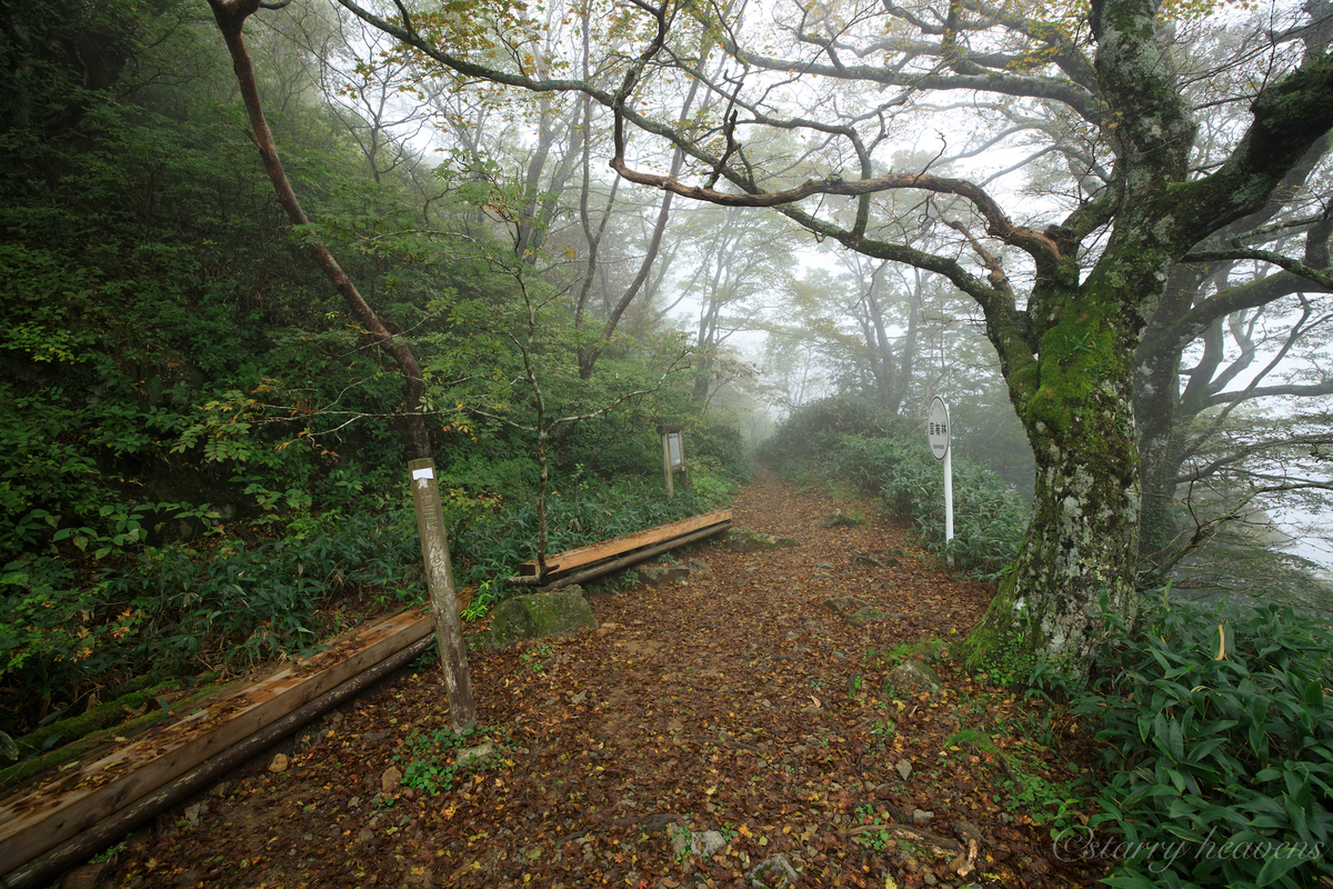 f:id:Starryheavens:20191010071127j:plain