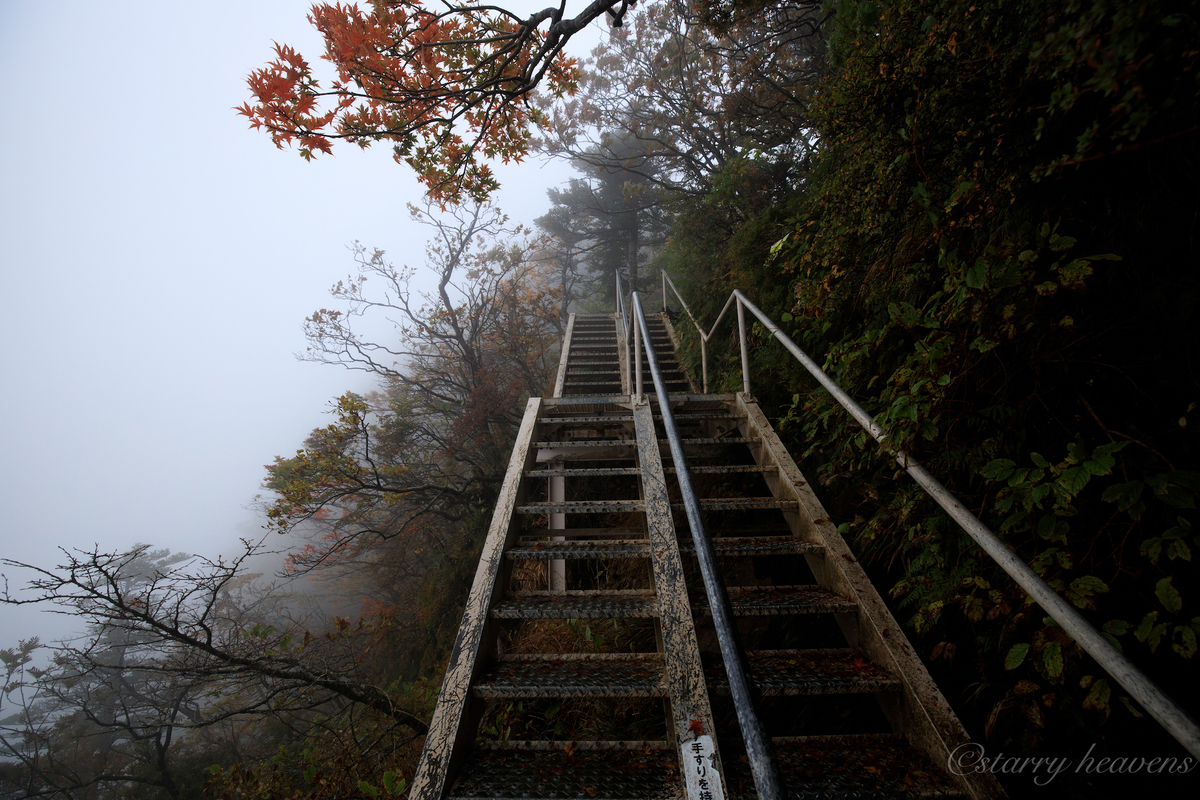 f:id:Starryheavens:20191010071211j:plain