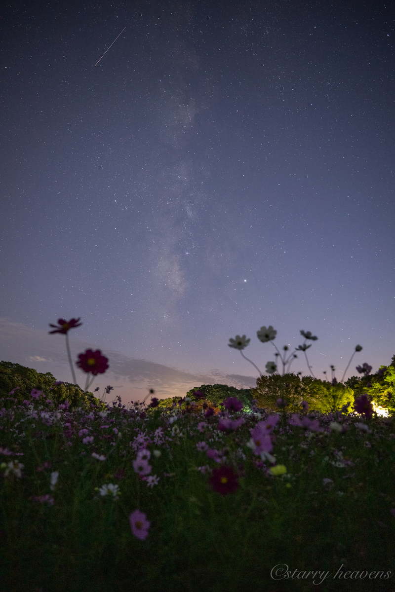 f:id:Starryheavens:20191020153823j:plain f:id:Starryheavens:20191020153823j:plain