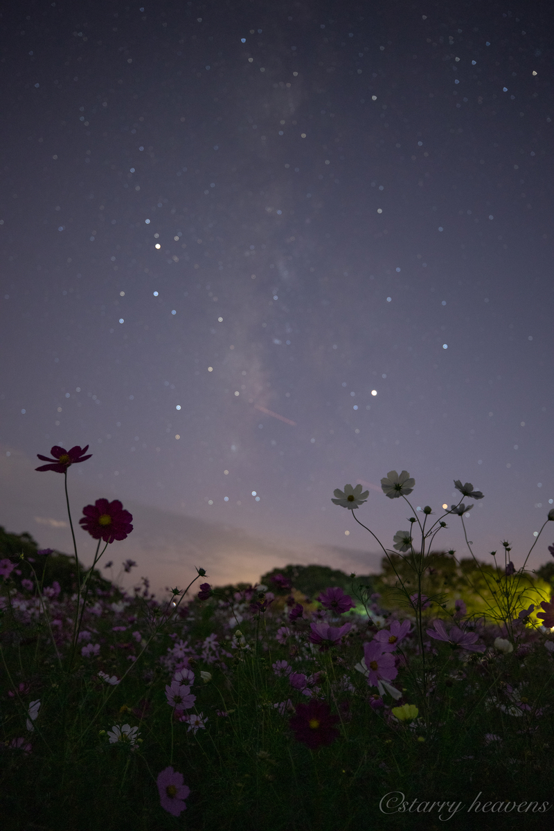 f:id:Starryheavens:20191020153944j:plain f:id:Starryheavens:20191020153944j:plain