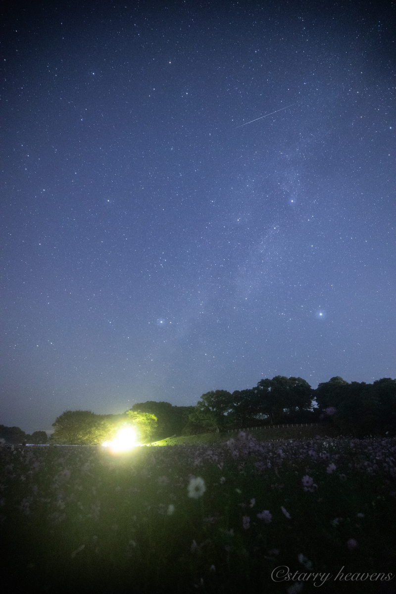 f:id:Starryheavens:20191023073831j:plain