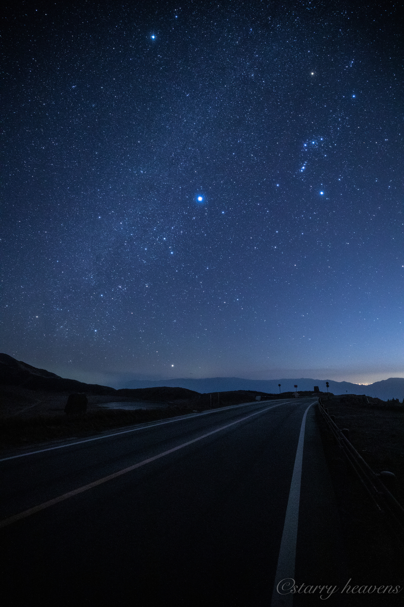 f:id:Starryheavens:20191208203808j:plain f:id:Starryheavens:20191208203808j:plain