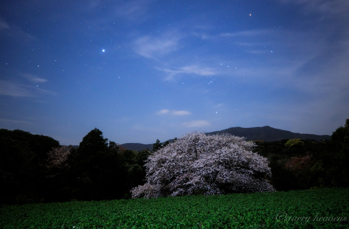 f:id:Starryheavens:20200411200201j:plain