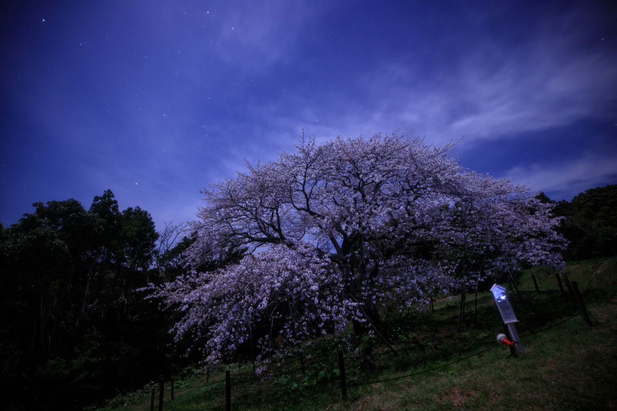 f:id:Starryheavens:20200411200215j:plain