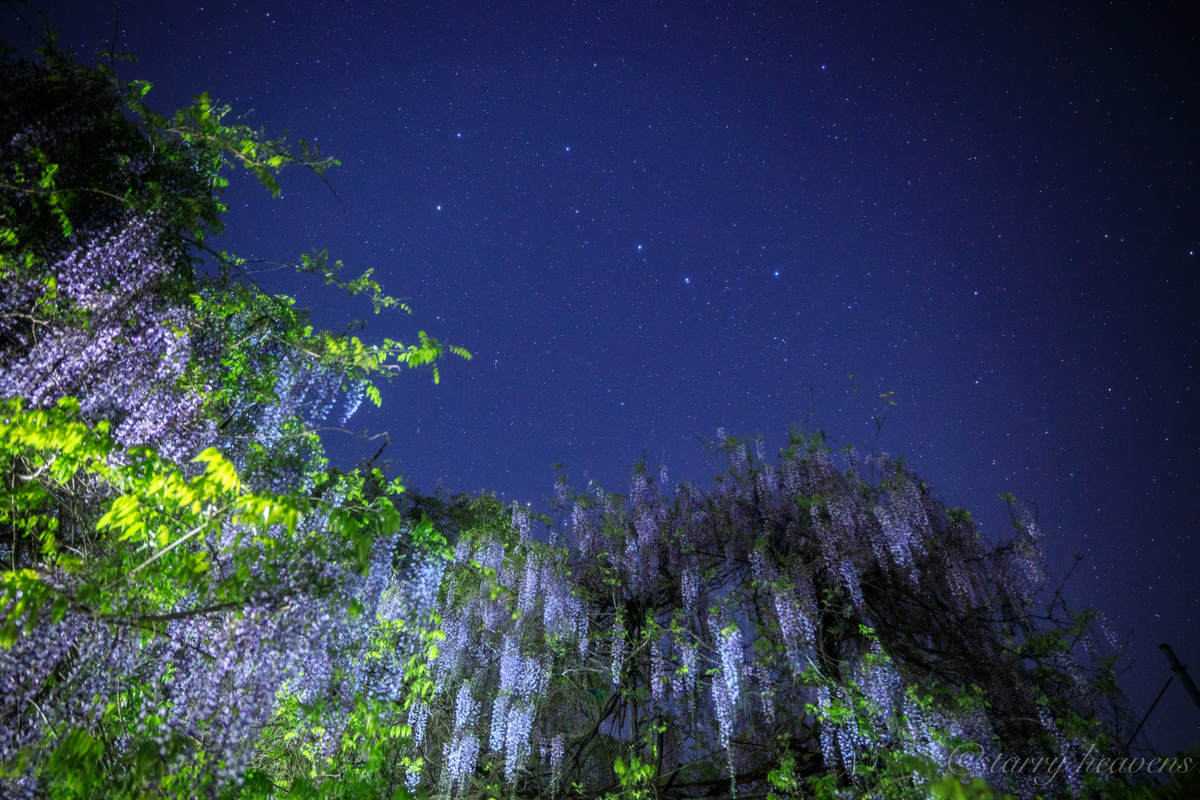 f:id:Starryheavens:20200502162132j:plain f:id:Starryheavens:20200502162132j:plain