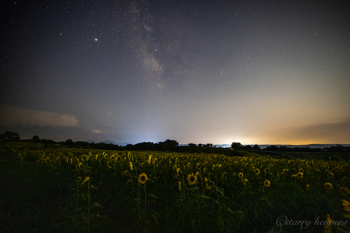 f:id:Starryheavens:20200907163012j:plain f:id:Starryheavens:20200907163012j:plain