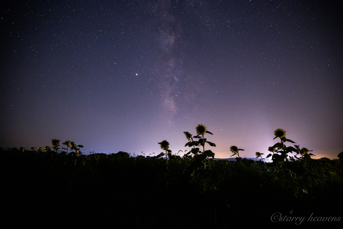 f:id:Starryheavens:20200907164806j:plain f:id:Starryheavens:20200907164806j:plain