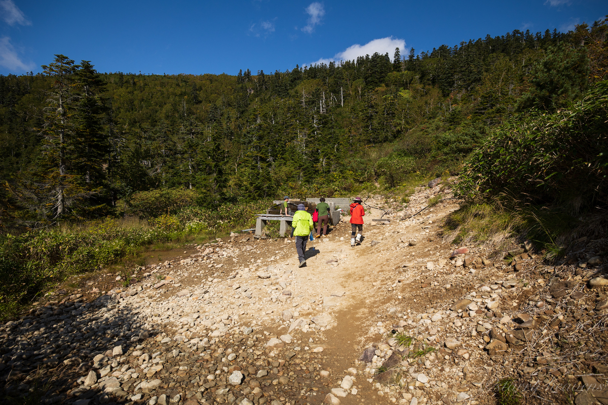f:id:Starryheavens:20201003180723j:plain