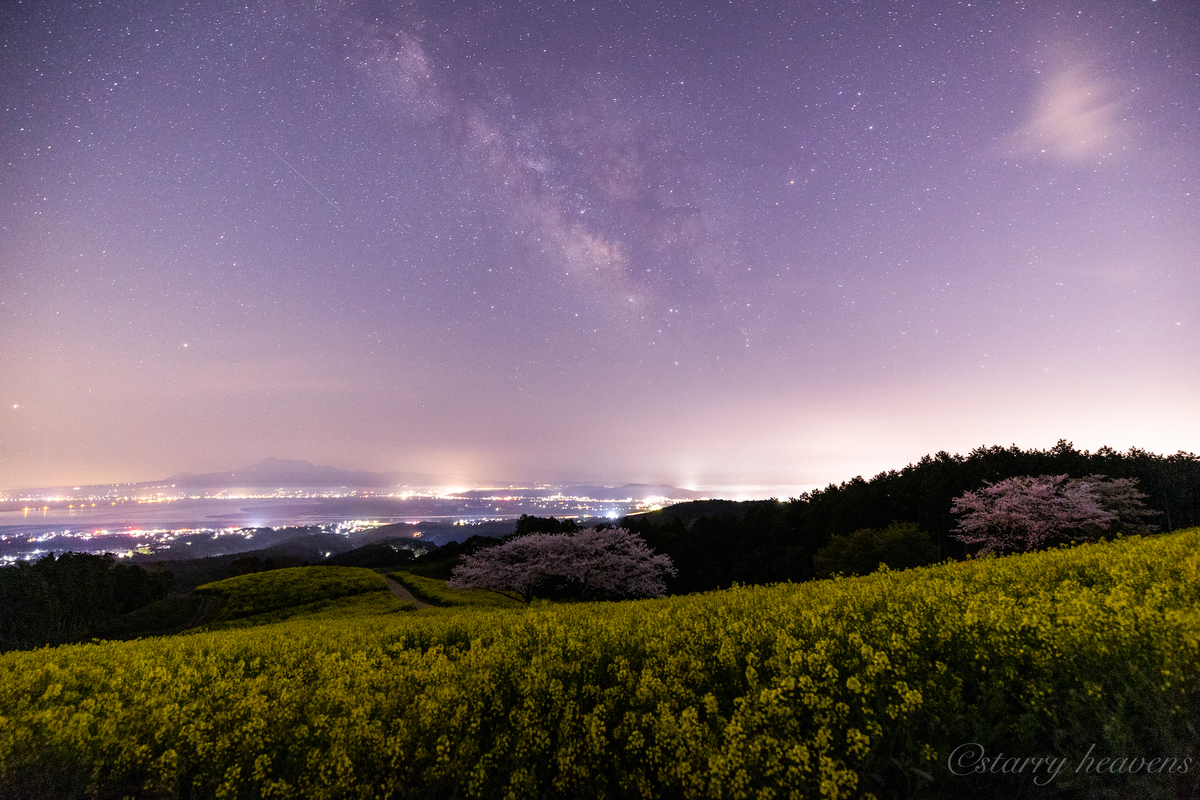 天体撮影記 第154夜】 長崎県 白木峰高原 月夜に咲く桜と菜の花の世界