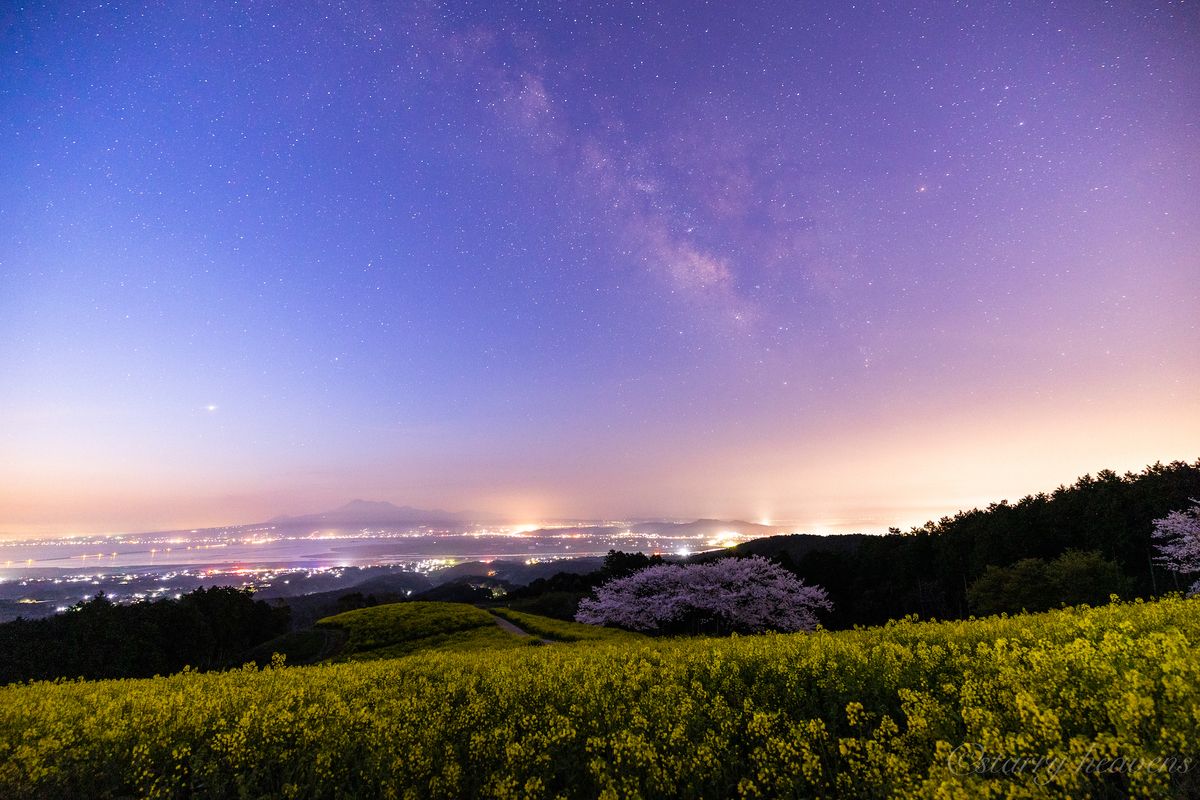 天体撮影記 第154夜】 長崎県 白木峰高原 月夜に咲く桜と菜の花の世界