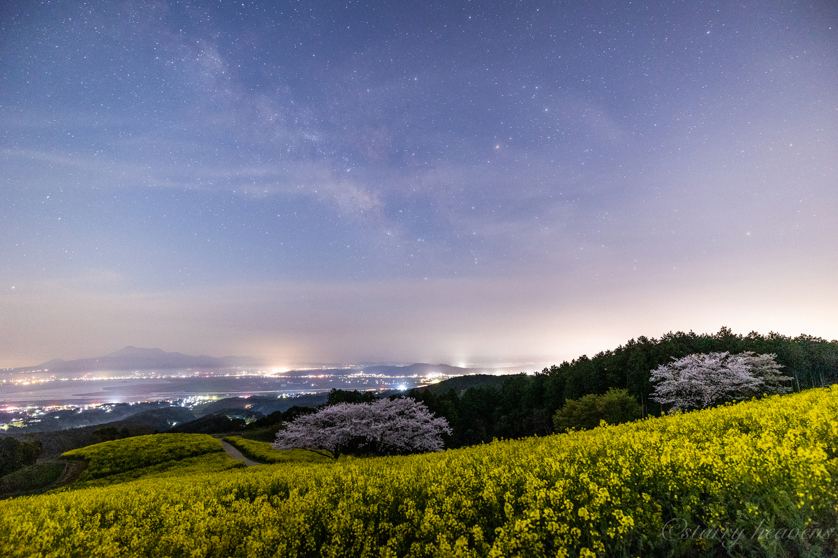天体撮影記 第154夜】 長崎県 白木峰高原 月夜に咲く桜と菜の花の世界