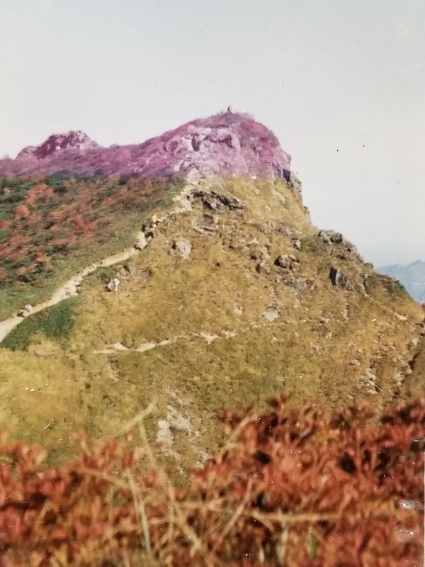 谷川岳オキの耳