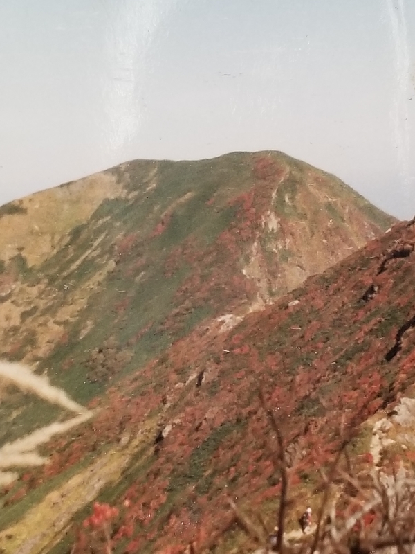 オキの耳より一ノ倉岳 1,974 m（左）