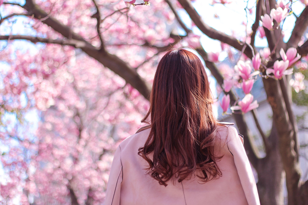 f:id:Stella-Lee:20190108170520j:plain f:id:Stella-Lee:20190108170520j:plain