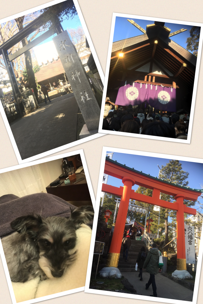 f:id:Step8440:20170310003159p:plain