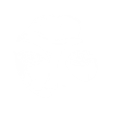f:id:SternQ:20190905085005p:plain