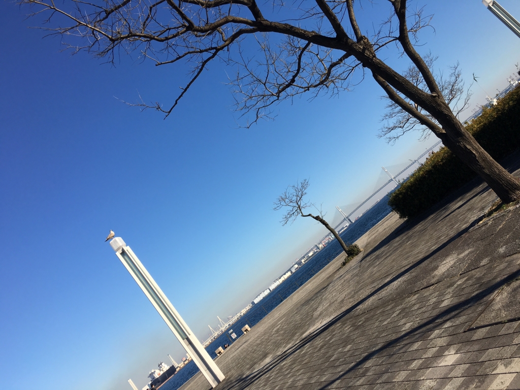 f:id:Strawberry-parfait:20170101140315j:plain f:id:Strawberry-parfait:20170101140315j:plain