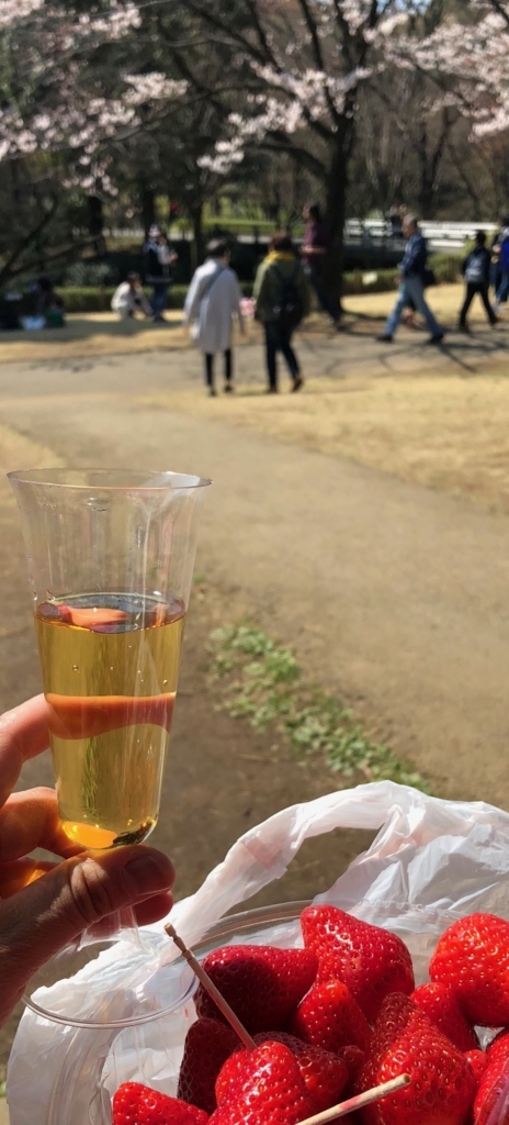 f:id:Strawberry-parfait:20180325102944j:plain