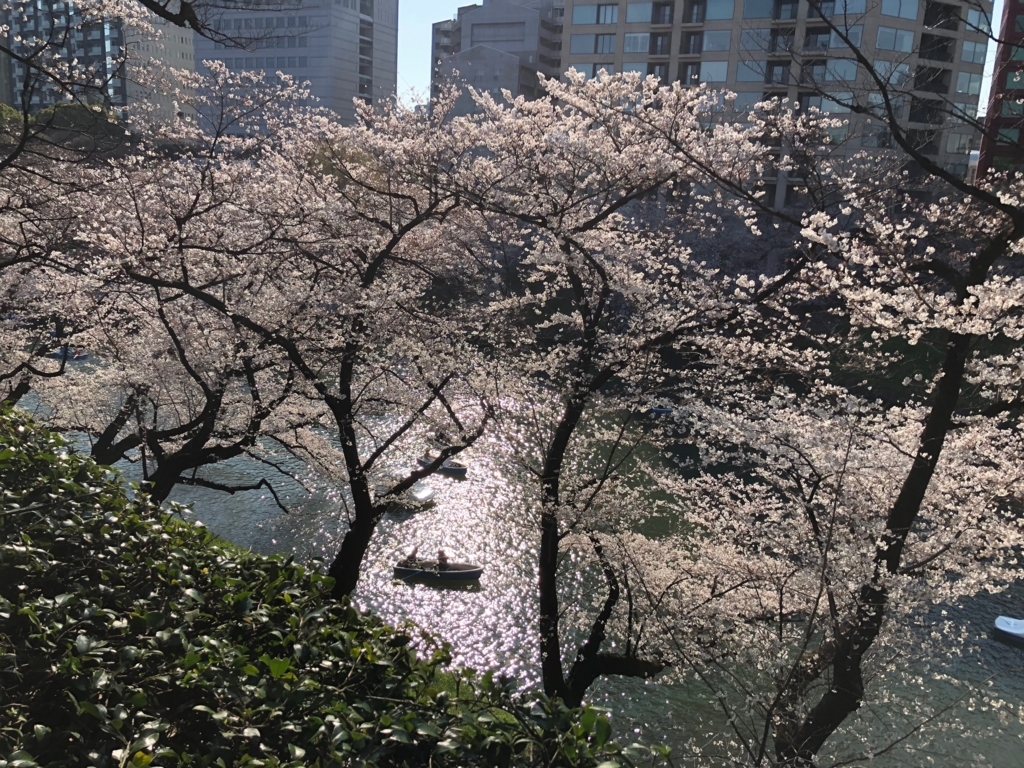 f:id:Strawberry-parfait:20180325153159j:plain