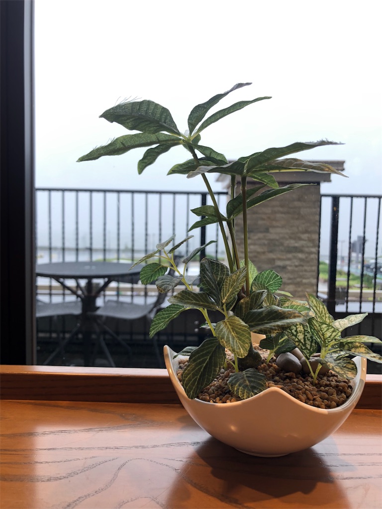 f:id:Strawberry-parfait:20190430233602j:image