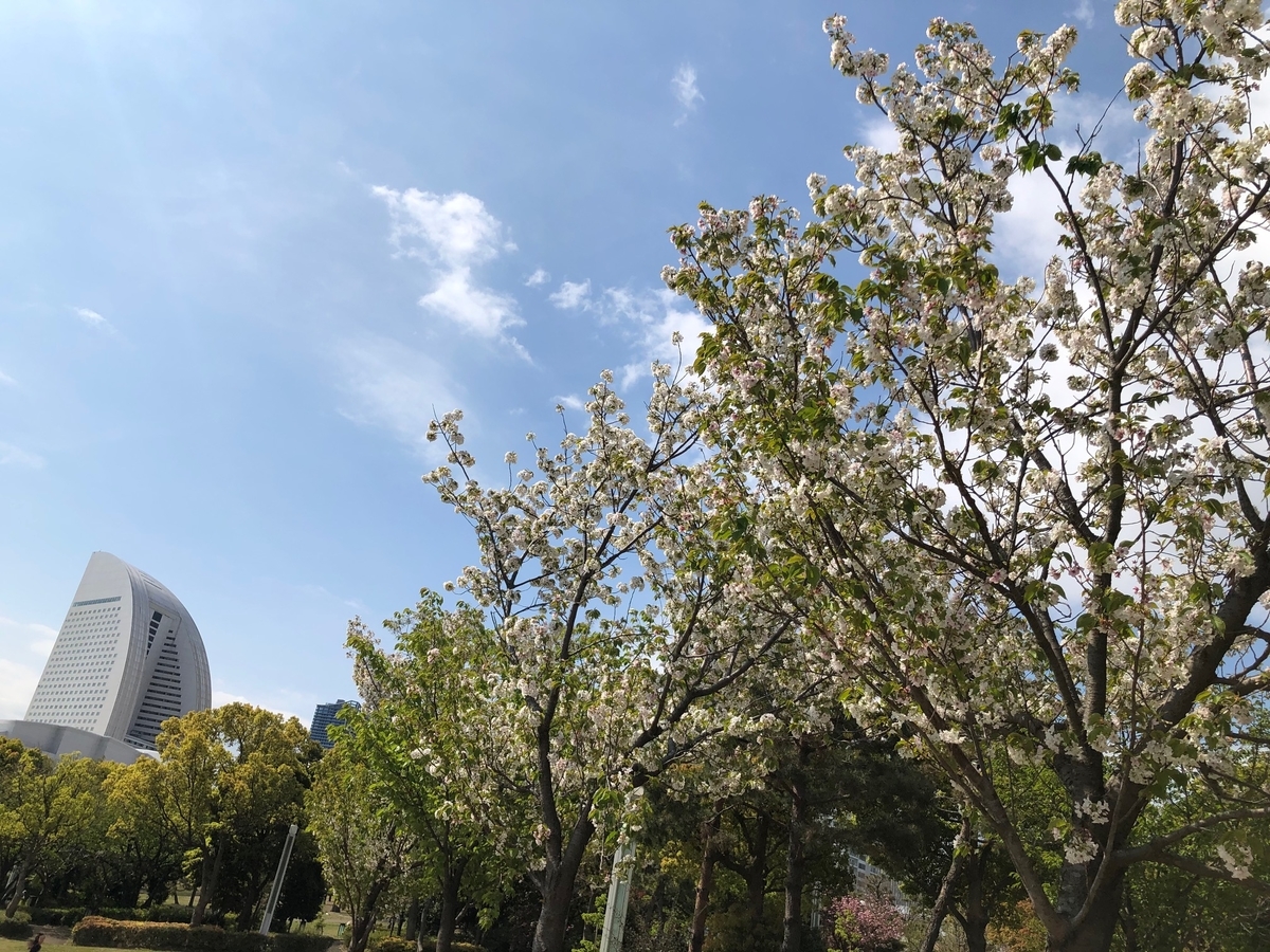 f:id:Strawberry-parfait:20200411092918j:plain