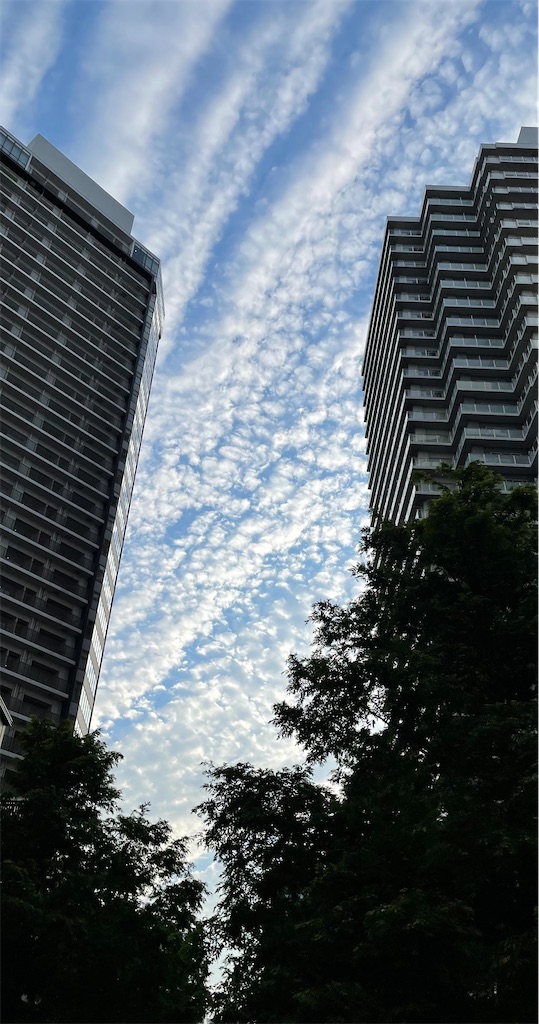 f:id:Strawberry-parfait:20210915205057j:image