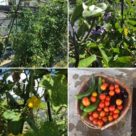 f:id:StudioSlowhand:20210802082407j:plain:right:w200