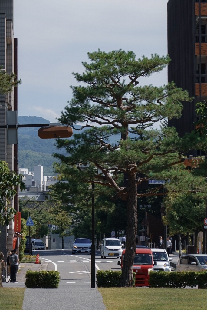 f:id:Studiocedarv:20180623091619j:plain f:id:Studiocedarv:20180623091619j:plain