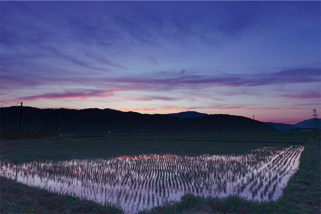 f:id:Studiocedarv:20180627091942j:image f:id:Studiocedarv:20180627091942j:image