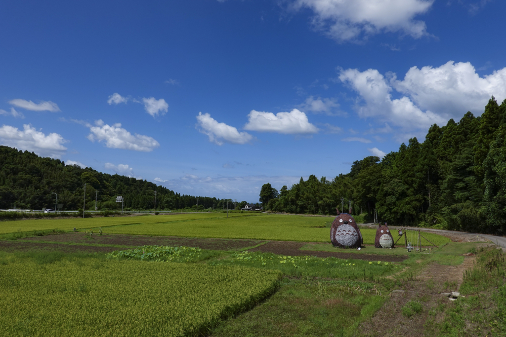 f:id:Studiocedarv:20180817132004j:plain f:id:Studiocedarv:20180817132004j:plain