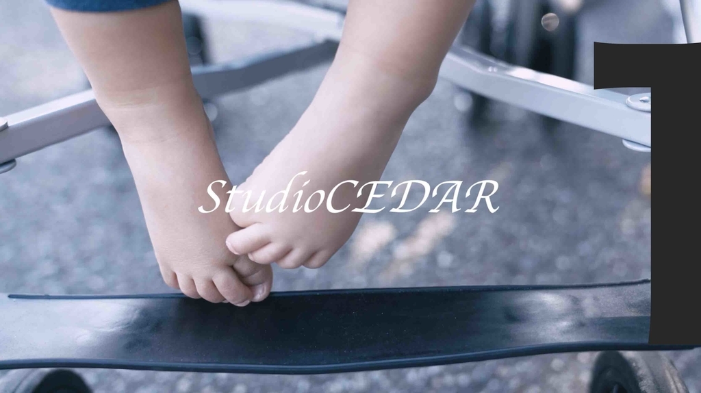 f:id:Studiocedarv:20181030081212j:plain f:id:Studiocedarv:20181030081212j:plain