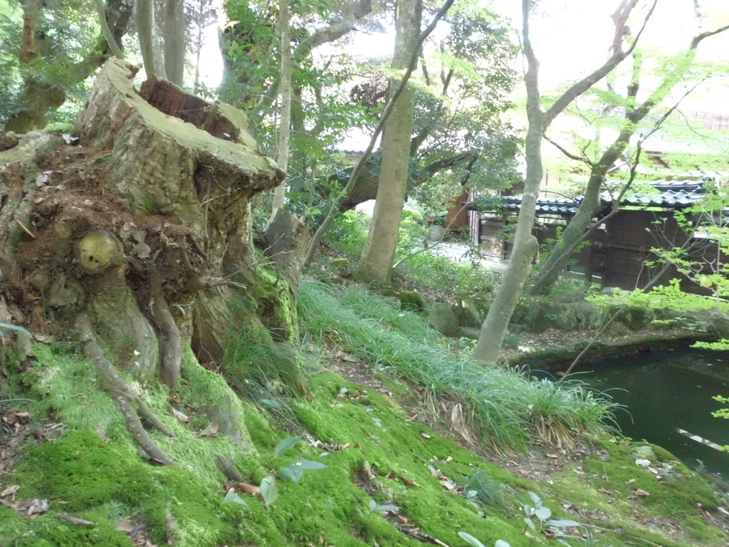 f:id:Studiocedarv:20181031191019j:plain f:id:Studiocedarv:20181031191019j:plain