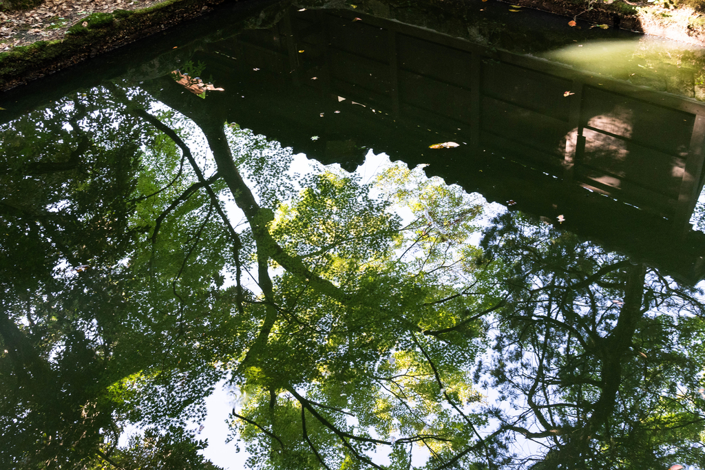 f:id:Studiocedarv:20181031192127j:plain f:id:Studiocedarv:20181031192127j:plain