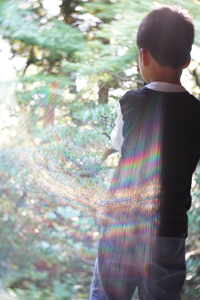 f:id:Studiocedarv:20181031192146j:plain f:id:Studiocedarv:20181031192146j:plain