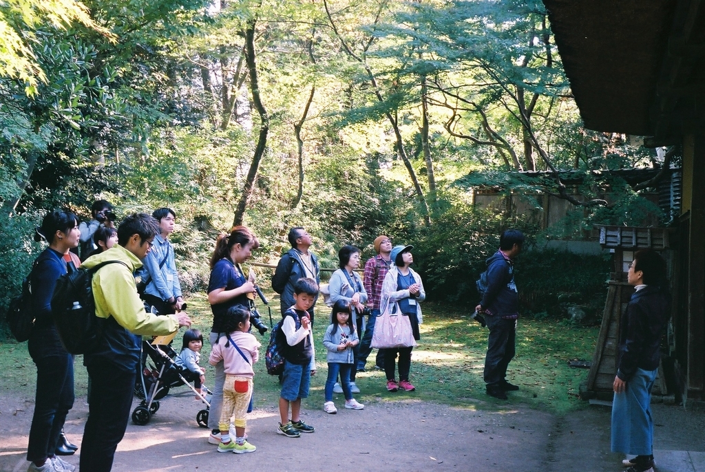 f:id:Studiocedarv:20181031193203j:plain f:id:Studiocedarv:20181031193203j:plain