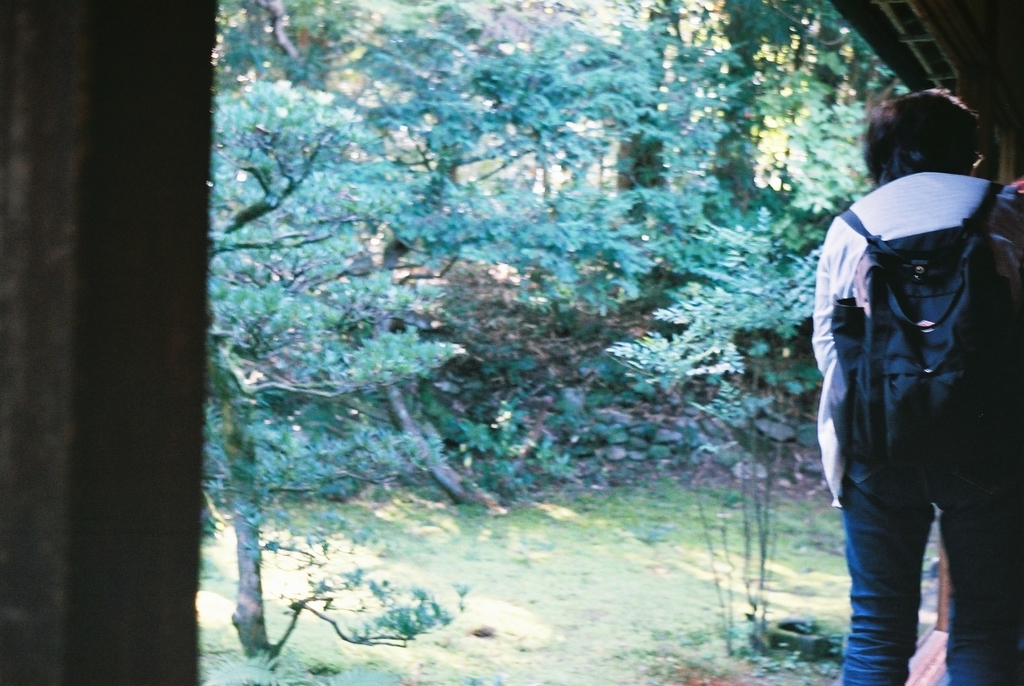 f:id:Studiocedarv:20181031193250j:plain f:id:Studiocedarv:20181031193250j:plain