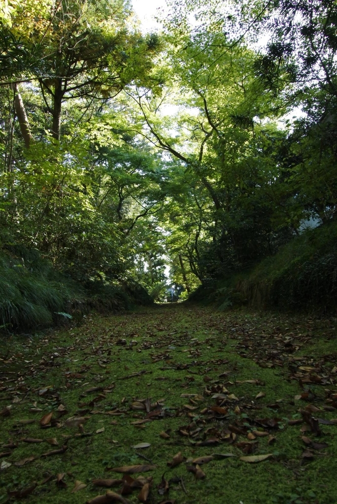 f:id:Studiocedarv:20181031193307j:plain f:id:Studiocedarv:20181031193307j:plain