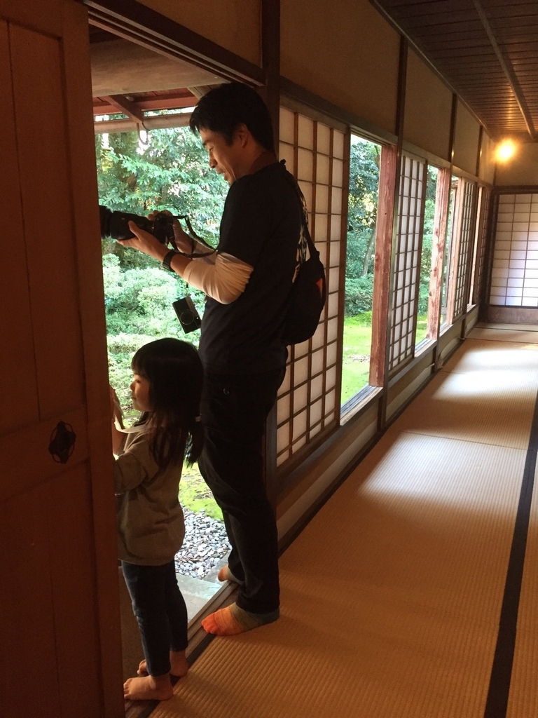 f:id:Studiocedarv:20181031193317j:plain f:id:Studiocedarv:20181031193317j:plain