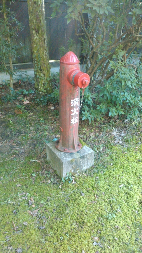 f:id:Studiocedarv:20181031193349j:plain f:id:Studiocedarv:20181031193349j:plain