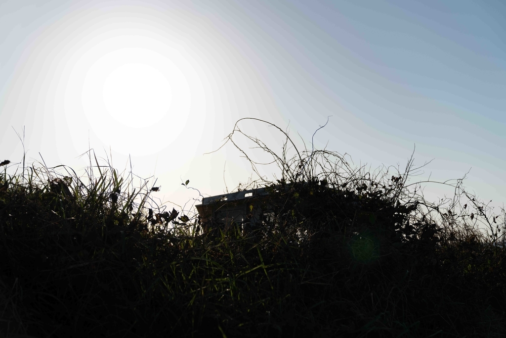 f:id:Studiocedarv:20181031193715j:plain f:id:Studiocedarv:20181031193715j:plain