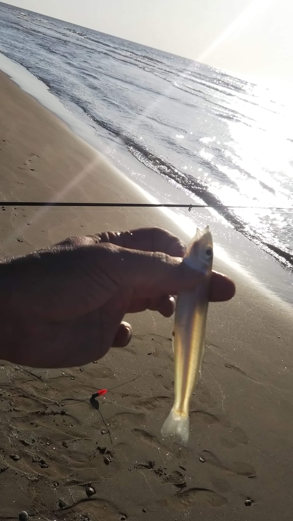 f:id:Studiocedarv:20181031193831j:plain f:id:Studiocedarv:20181031193831j:plain